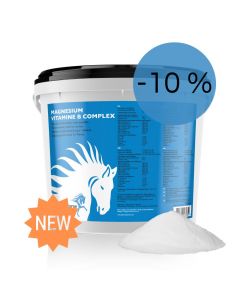 Magnesium vitamin B complex horse 