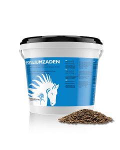 Psyllium seeds horse