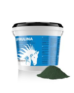 Spirulina horse