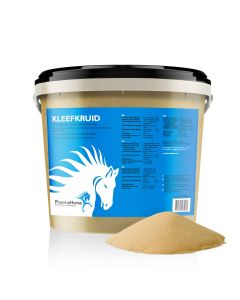 Clivers horse 