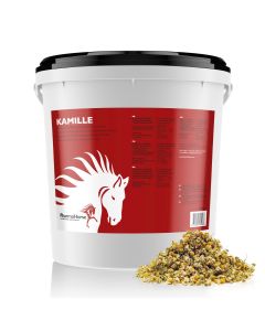 Camomile horse