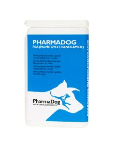 PEA (palmitoylethanolamide) dog