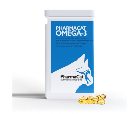 Cat omega 3 oil shop