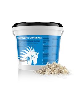 Siberian Ginseng horse 