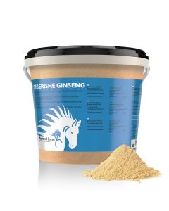 Siberian Ginseng horse 