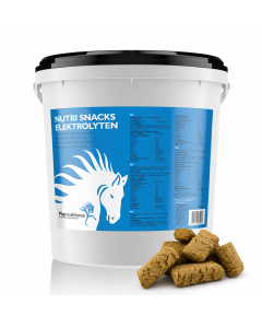 Nutri Snacks Electrolytes