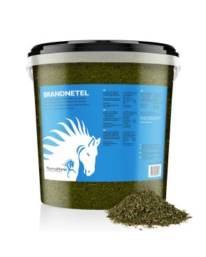 Nettles horse