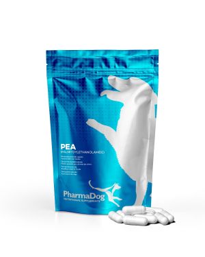 PEA (palmitoylethanolamide) dog