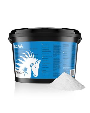 BCAA horse