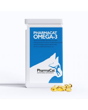 Omega-3 cat
