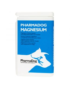 Magnesium dog