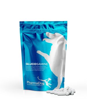 Glucosamine dog