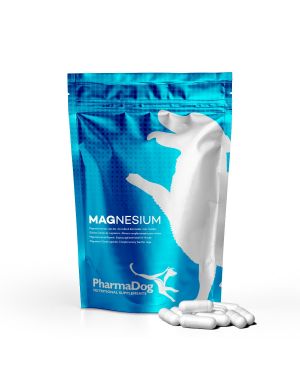 Magnesium dog