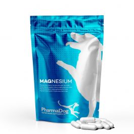 Dog ate magnesium pill hotsell