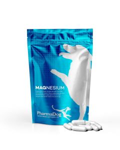 Magnesium dog