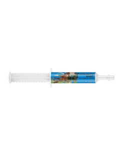 Immunity shot horse
